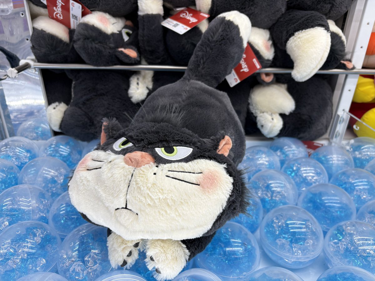 ꧦ𐅁𐀸𐋠𛰙᭜᭜【景品入荷情報】 ルシファー 寝そべり なで