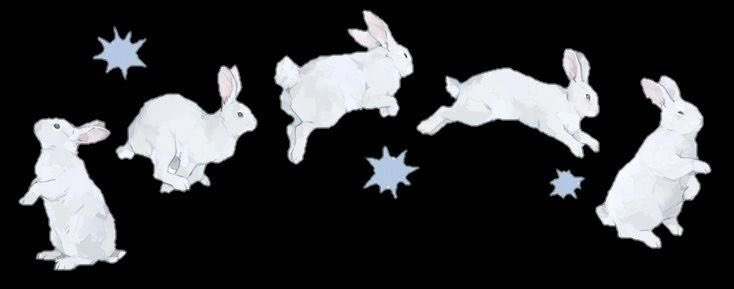 Germ🦠 tweet media