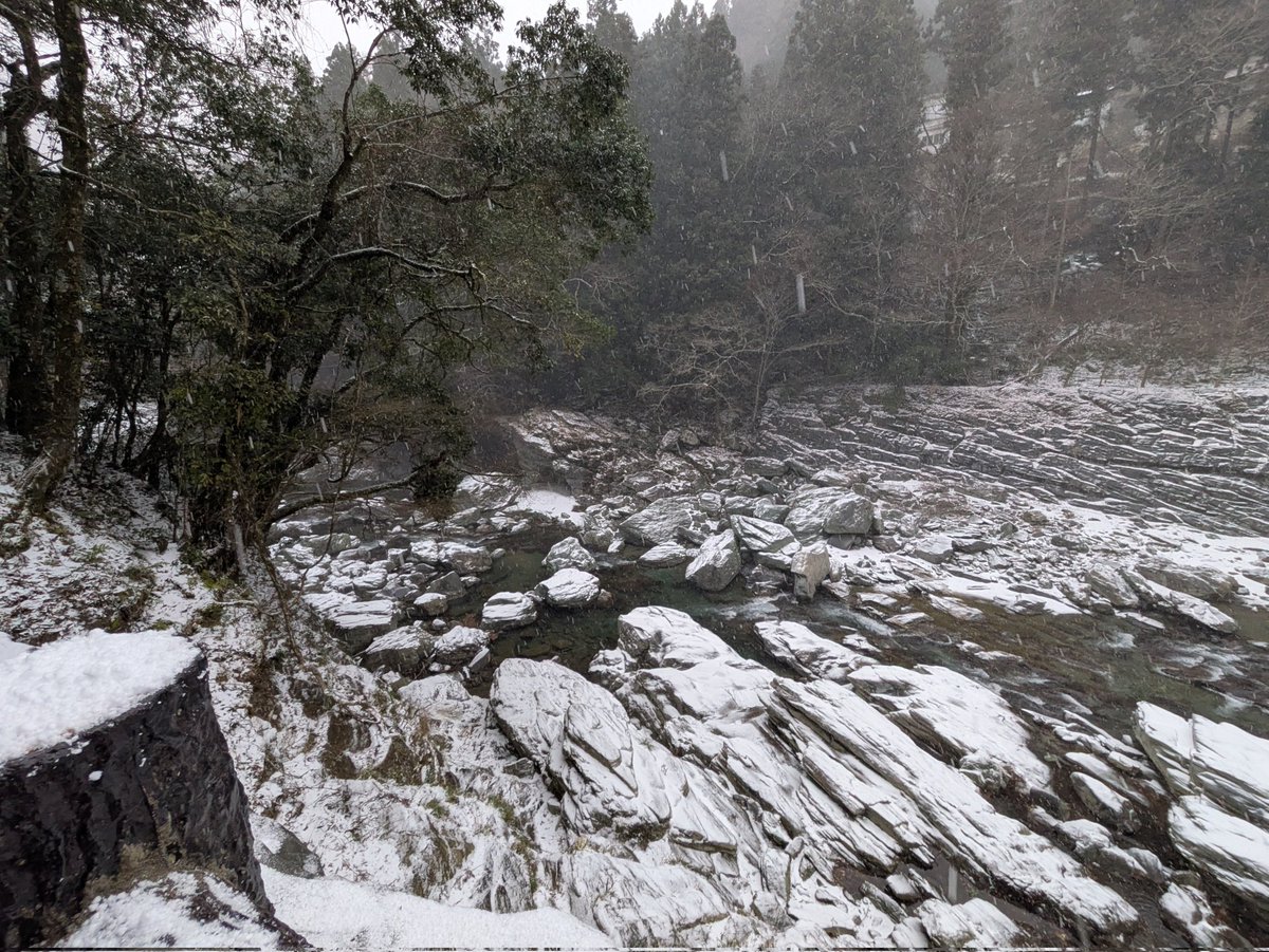 四国交通【公式】＊乗務員募集中＊ tweet media