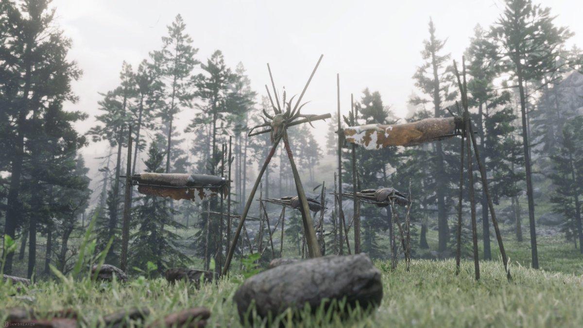 Big Valley - West Elizabeth
#RedDeadRedemption2