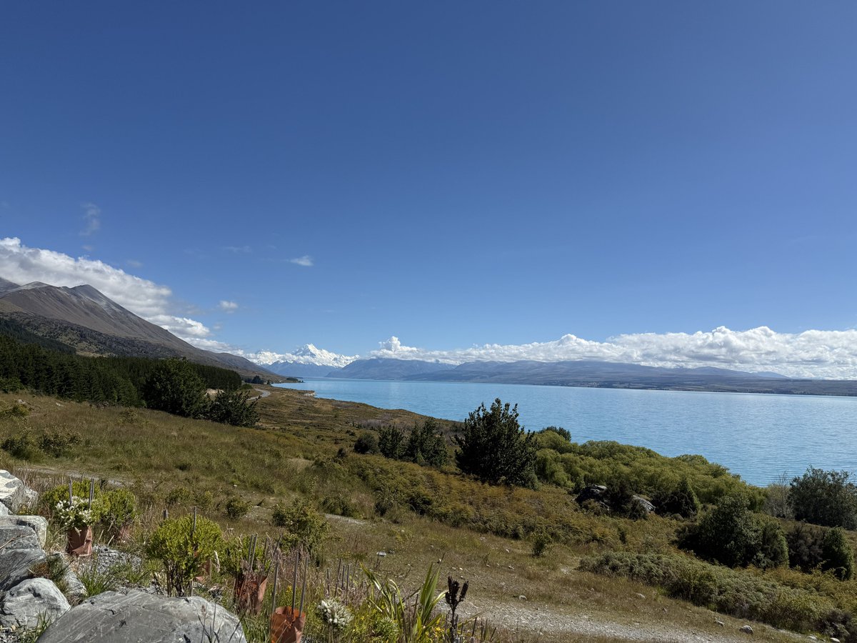 Shigure_FN's tweet image. まだ帰国して2週間なのにニュージーランド行きたい