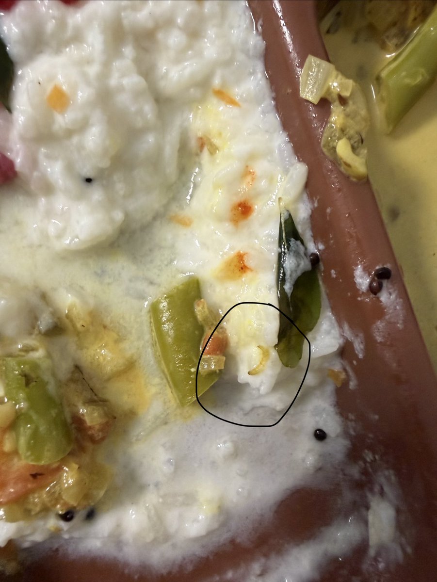 iaspirebig's tweet photo. @asterdm_india Hugely disappointed with the food provided to the patient at aster Medcity Kochi. How can there be worms in the food given to the patient? That too patient complaining for gastritis. A replacement for the food doesn’t suffice here. https://t.co/dWP7TefKbe