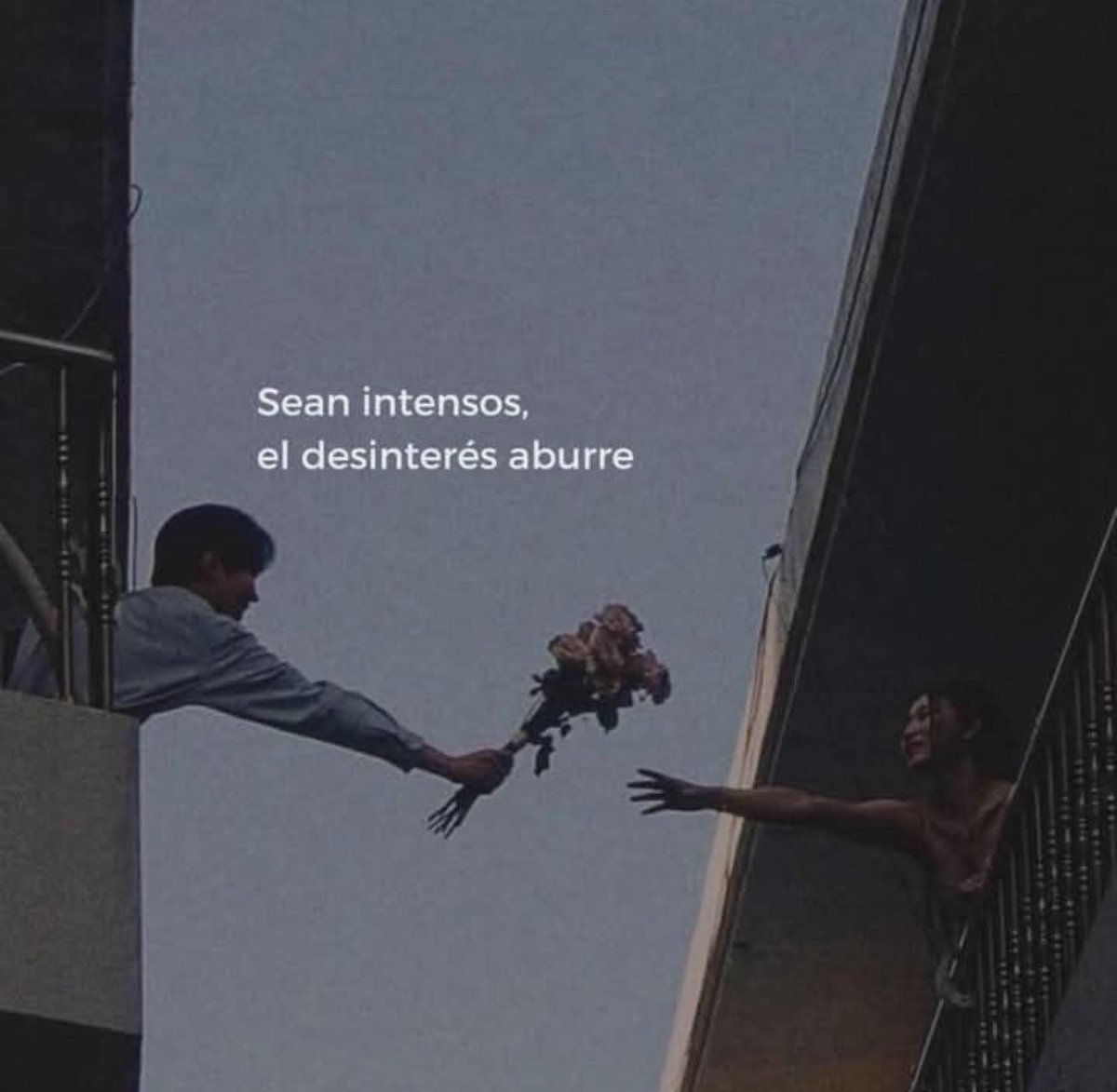 sad (@isadtuit) on Twitter photo 