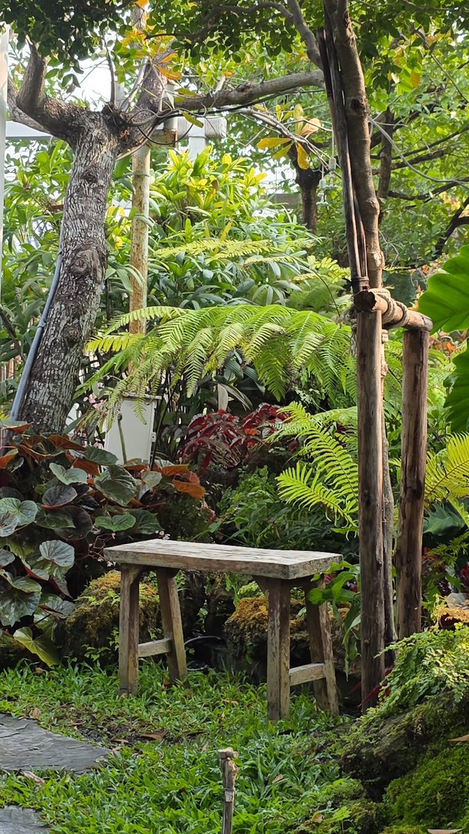 IGS : <a href="/___progresss___/">___progresss___</a>
[18/1/2026]

Enjoy วันหยุดนะครับ💚

#ProgressPassawish
#AlmondProgress
#ด้อมภภ #PSPW