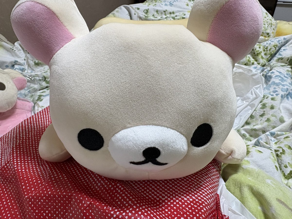 どうしよう～🥹
サイズ感完全に間違えた…ティッシュケースがこんなにデカデカとは💦
ティッシュケース🟰箱ティッシュより少し大きいくらいと思って、サイズ確認しなかったよ…クマりました…ちょっと味のある顔立ち💦
腰あてクッションは絶妙なタイミング🤣
絶賛腰痛期間です～