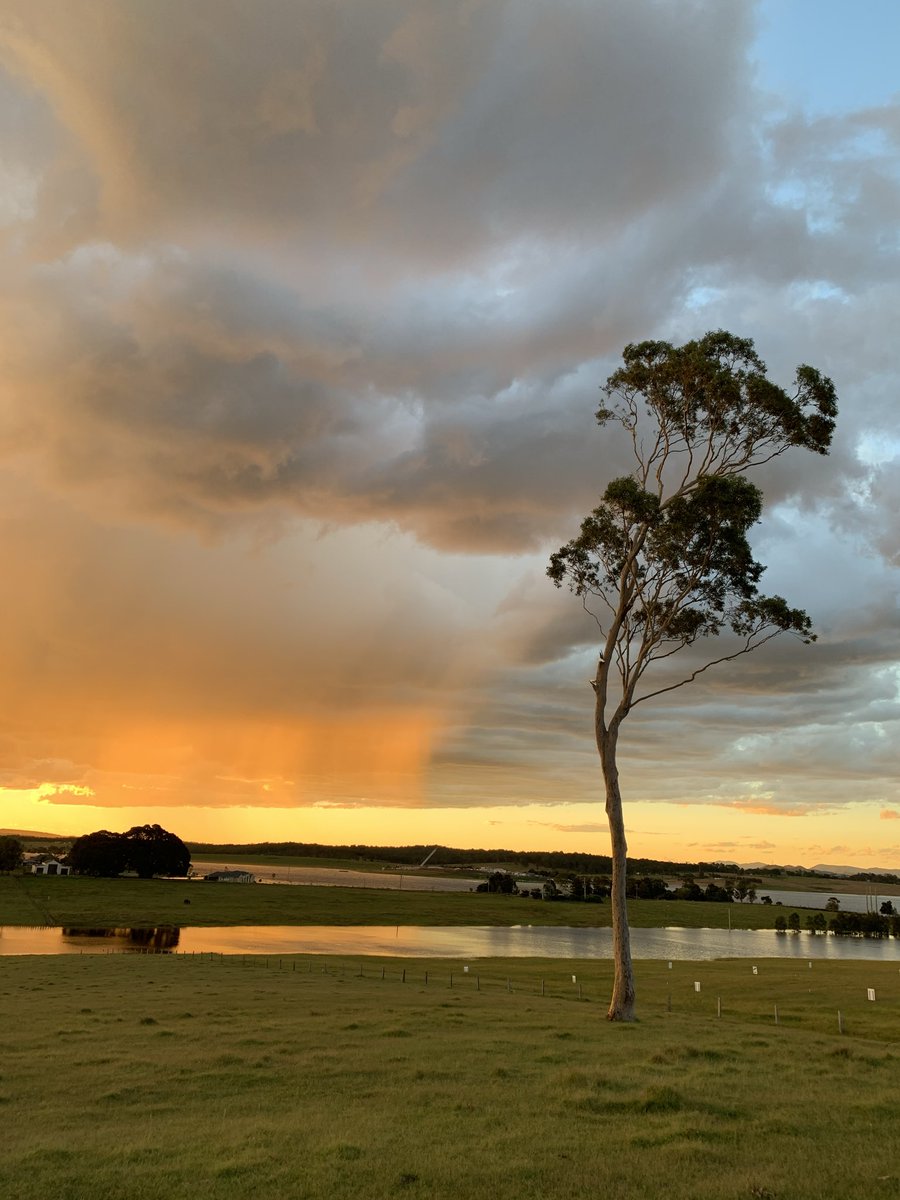 Greg Pitt tweet media