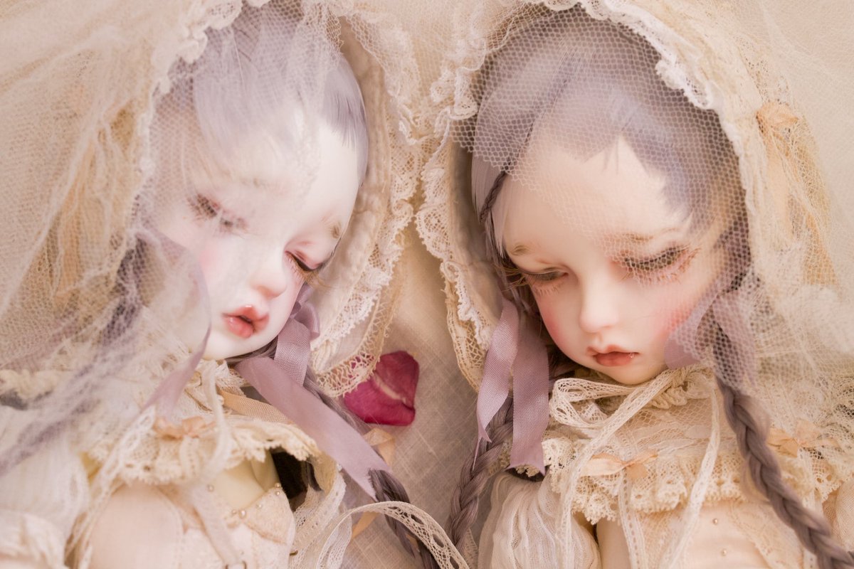 iMda Doll (@dongalim) / Posts / X