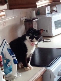 More photos of my baby 🖤🤍🖤🤍