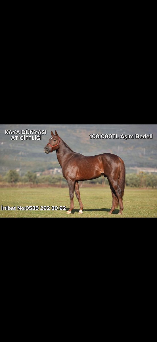 ⁦<a href="/cantinazhakan/">Hakan Cantınaz</a>⁩ iyi yayınlar mutlu pazarlar