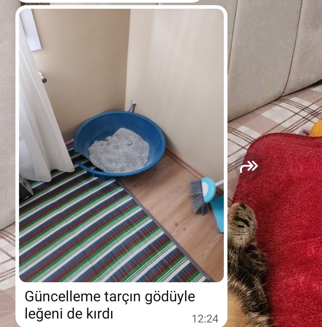 AGLIYORUM BU SEFER GERCEKTEN WHSHQJJQOQOQ