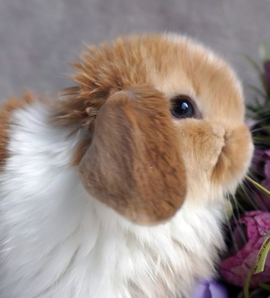 hyperbolae's tweet image. 