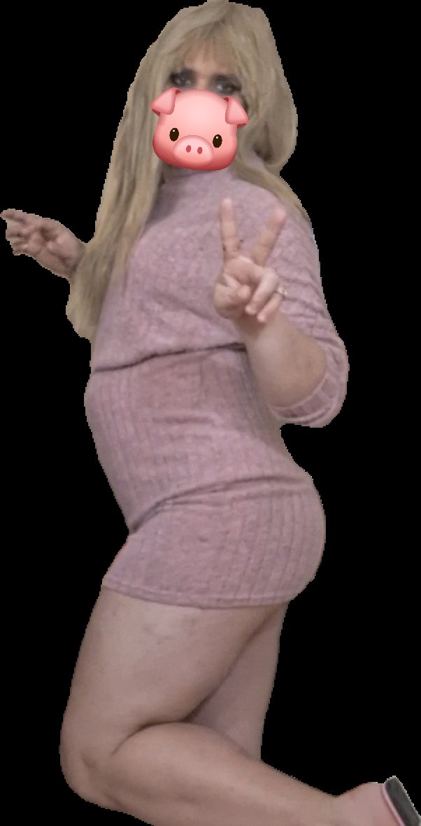 Paula Sub Sissy 🔞 tweet media
