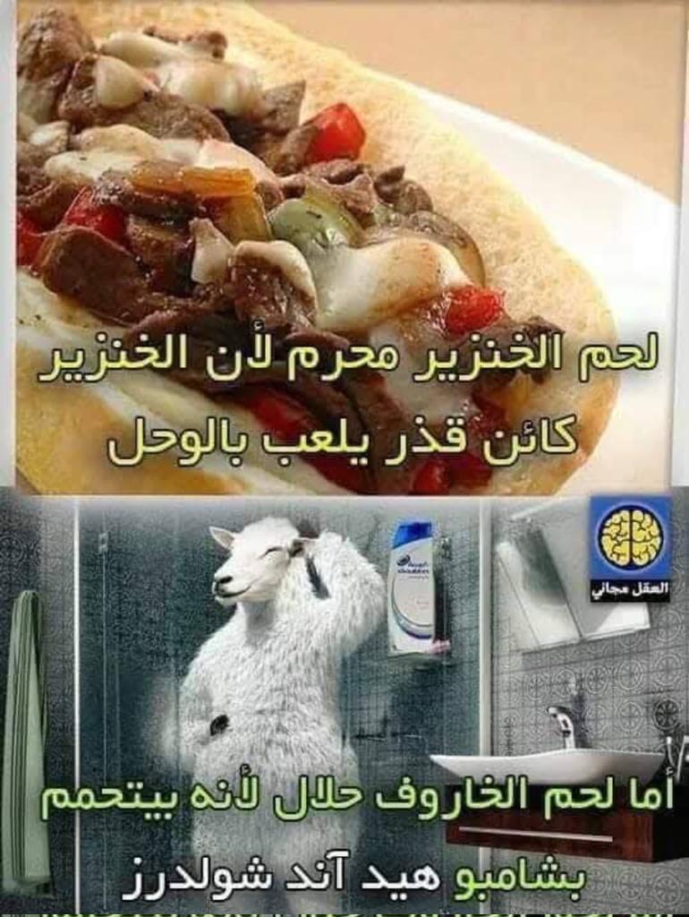 عقل مثقف tweet media