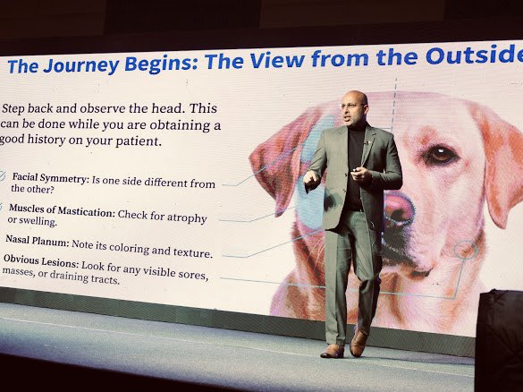 adarshkumarvet's tweet photo. Vet excellence CE programme organised by #pet #practitioners #association #uttarpradesh at #noida 10-12 Jan 2026. https://t.co/klpCppl6my