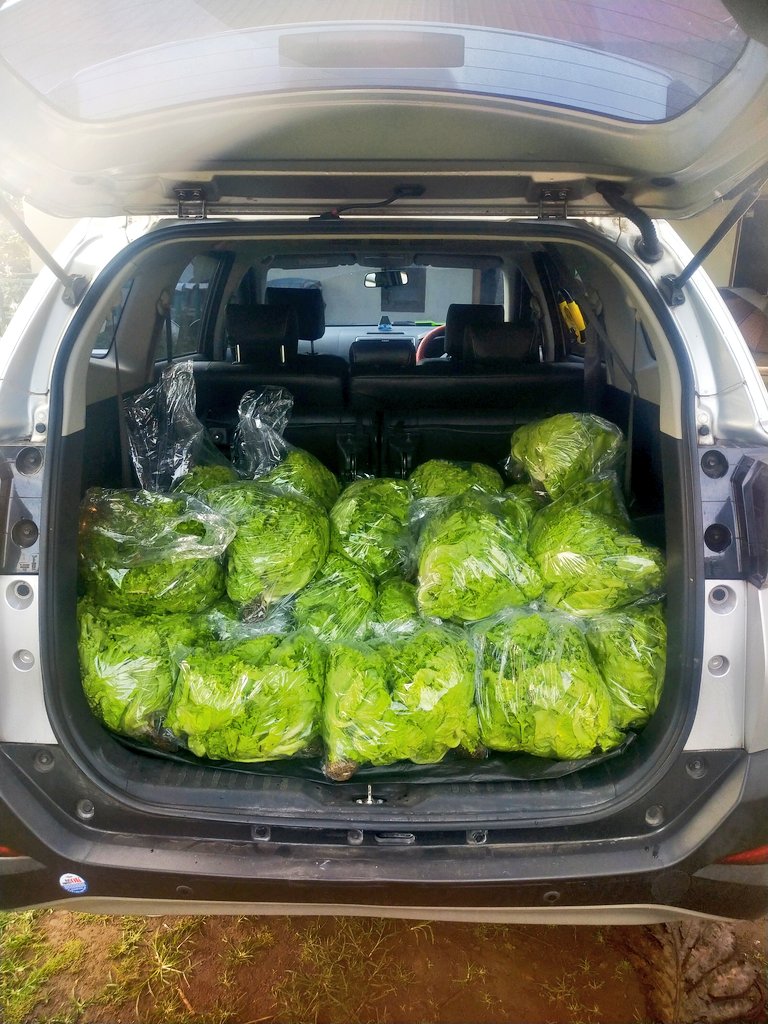 ydhtama's tweet image. Jangan kejar semua orang, umkm naik kelas bukan karena viral, umkm naik kelas karena repeat order. Jadi rawatlah pelanggan walaupun sedikit.