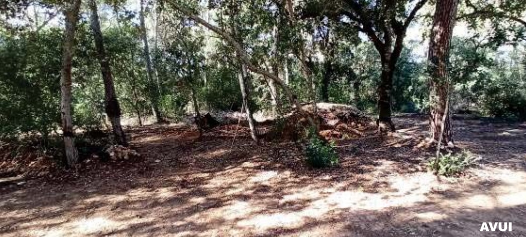 Agència de Defensa del Territori de Mallorca tweet media