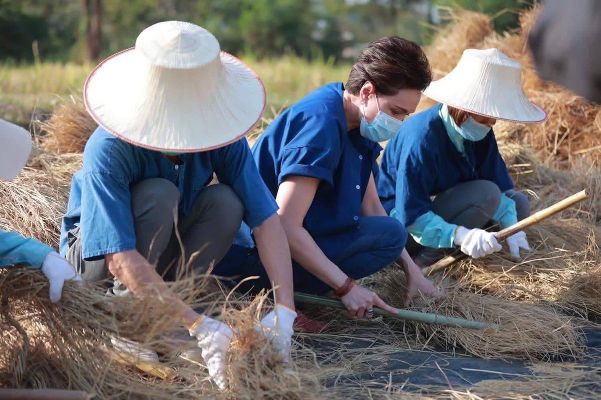 เห็นส้มด้อยค่าคุณศุภจีว่า outdated

ผมแบบ 555

แสดงว่าคุณไม่รู้จักเขาเลยยยยย

เขาไม่ใช่ ซีอีโอที่ นั่งชี้นิ้วพูด ๆ แบบพวกลูกคนรวยหมื่นล้านนะ

เขาลงมือทำ และ พาลูกน้อง ทีมงานไปทำ เพื่อจะได้รู้จริงๆ ว่าจากรากฐานมามันเป็นยังไง

เขาจะขายผลผลิตจากข้าว