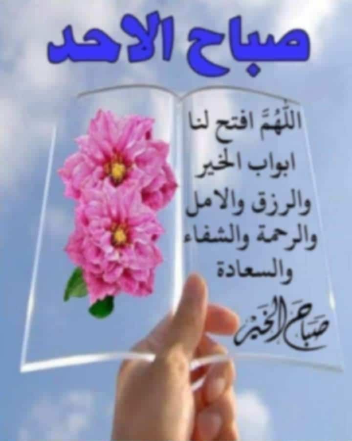 MAMDOUH (@rofeerofe) on Twitter photo 