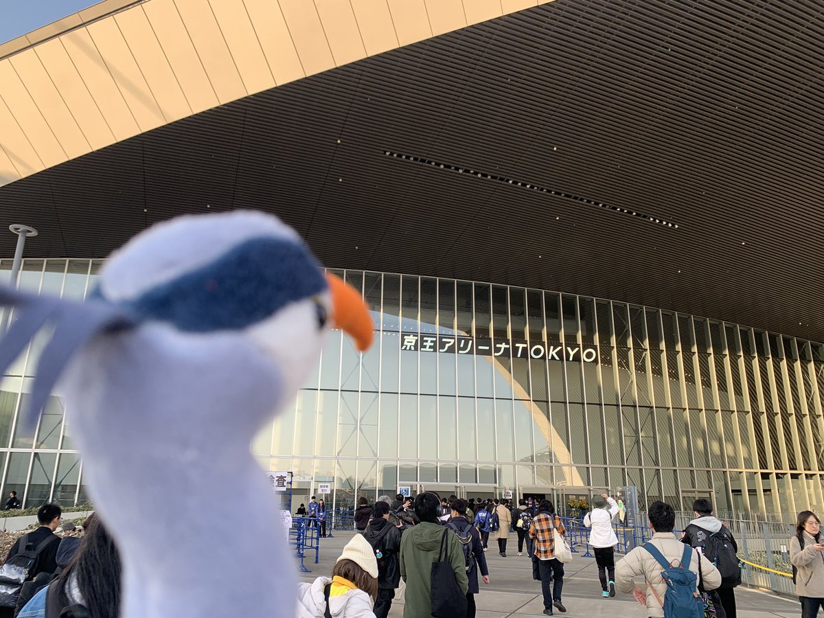 _doublebind's tweet image. 