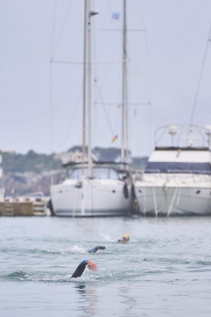 TriPortocolom tweet media