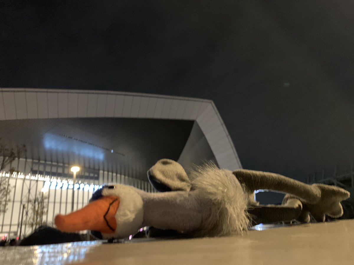 _doublebind's tweet image. 