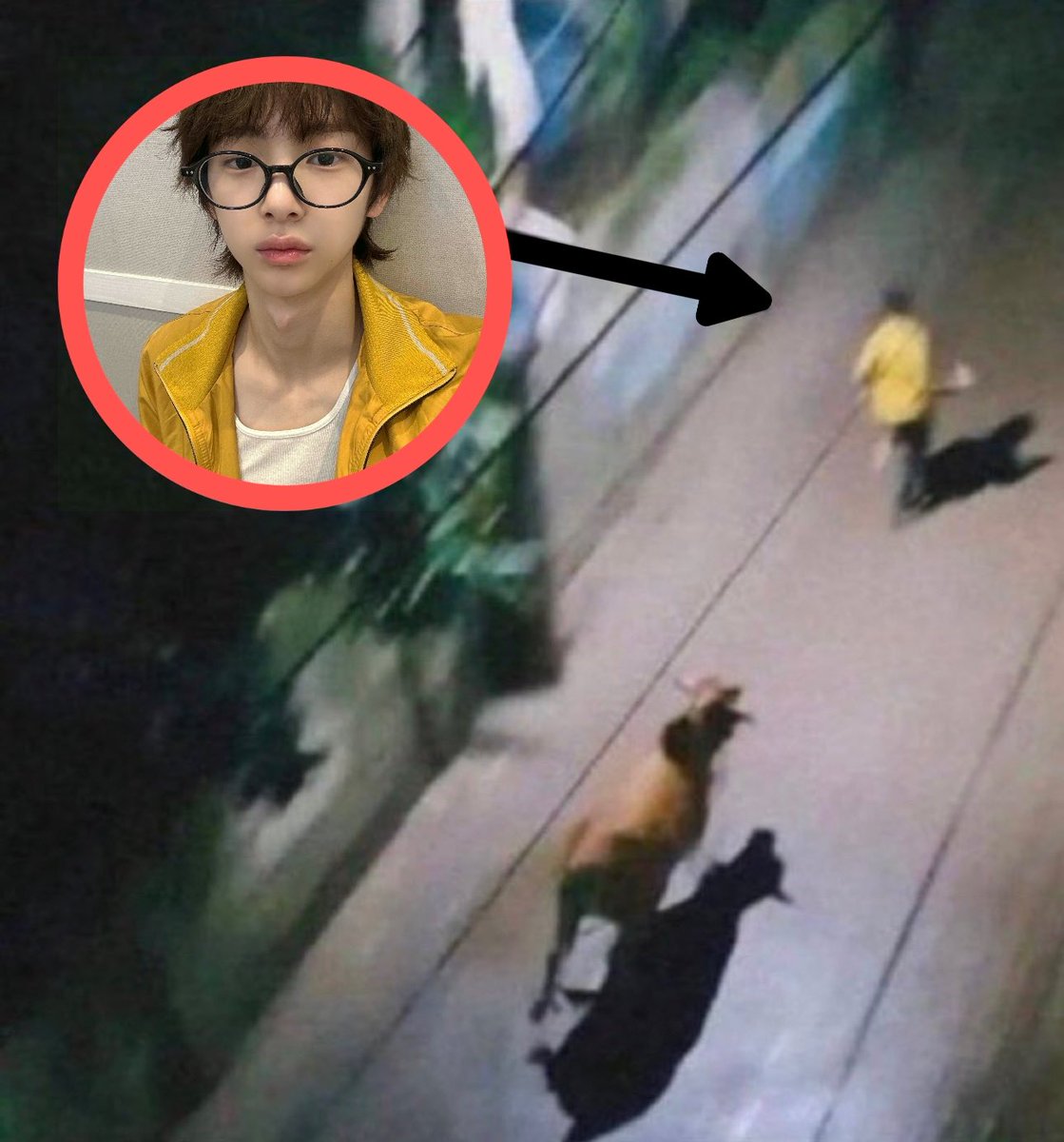 churung_'s tweet image. 주훈이는 사실 소한테 쫓긴 적이 있었다.