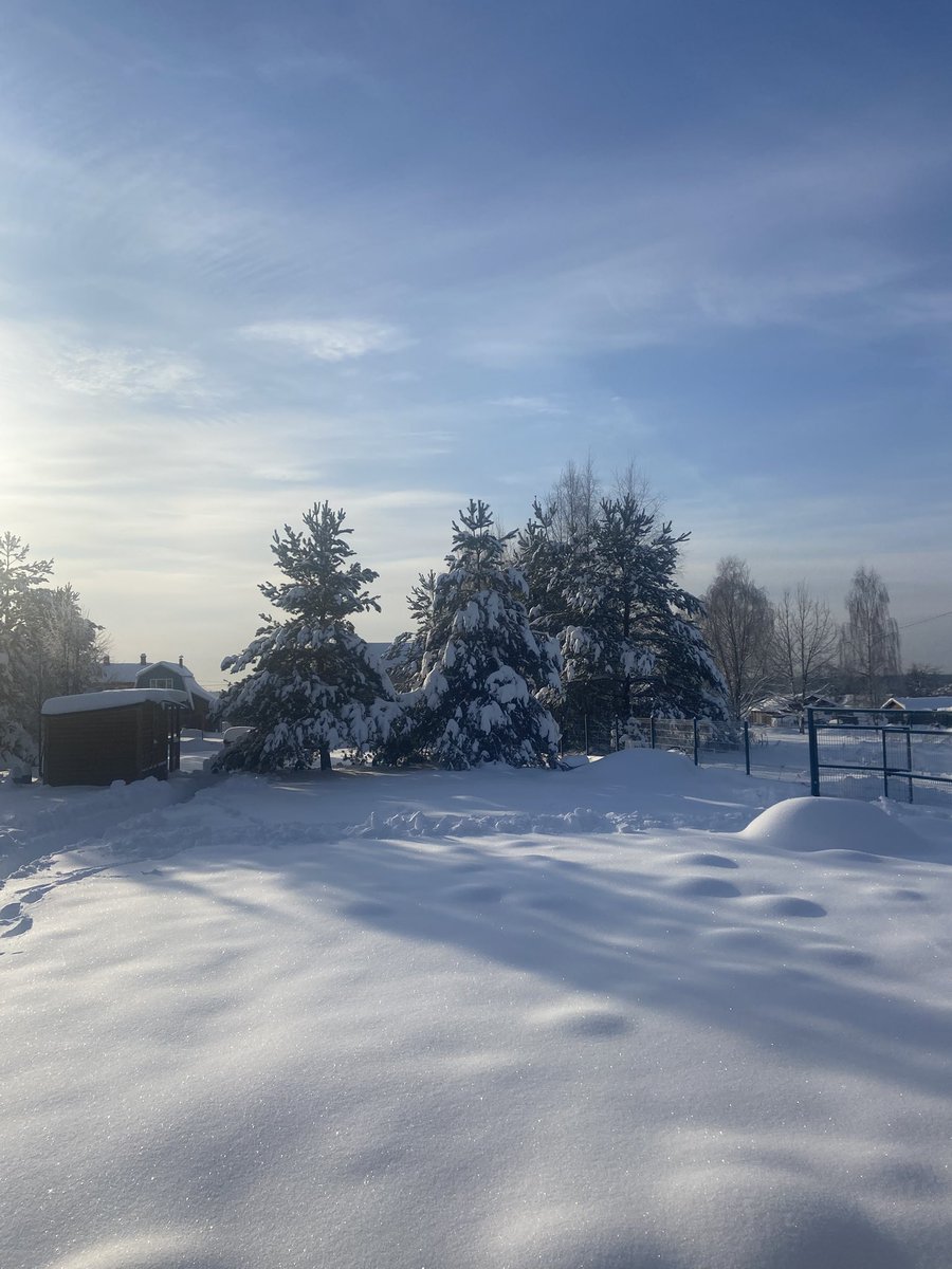 igorbuga's tweet image. 