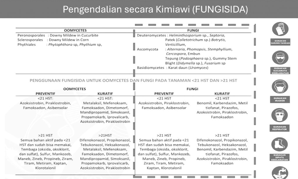 masagileaf's tweet photo. sekenang kedar-kedaran berbagi cara pengendalian HPT baik secara preventif dan kuratif... tpi tentunya pengamatan yang menjadi kuncinyaa ya moasss en mbaakk. selamat menanam, hepi wiken. https://t.co/3nWQDUCOrJ
