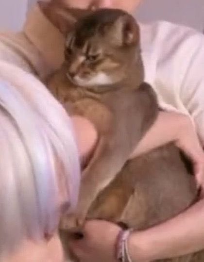 เห็นน้องหมาที่ชัชชาติอุ้มแล้วนึกถึงลีออน5555555555