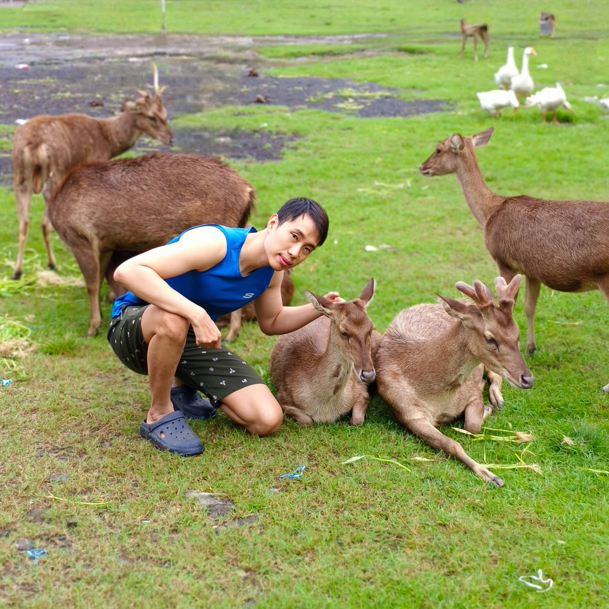 AwunZ's tweet photo. Sperti rusa rindu sungaiMu
Jiwaku rindu Engkau
Kaulah Tuhan hasrat hatiku
Kurindu menyembahMu

#sriwedari #sriwedarisolo #sriwedaripark #deer #animals https://t.co/4UWqQ1FvxQ
