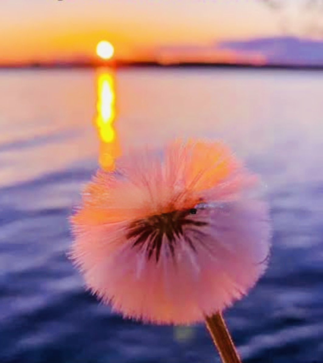 ❤️Judith🎶🎧🌙✨ tweet media