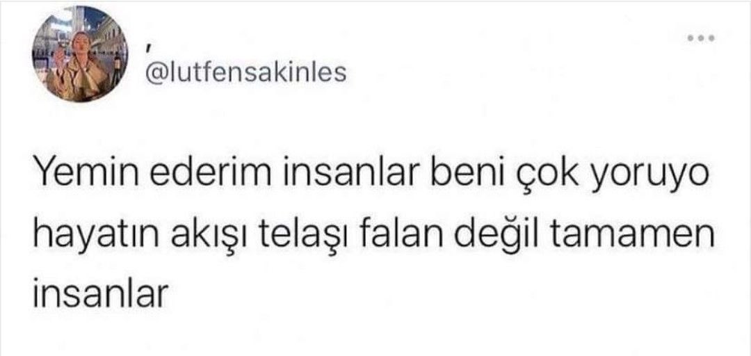 Academic Adventure (@academicadvent3) on Twitter photo 