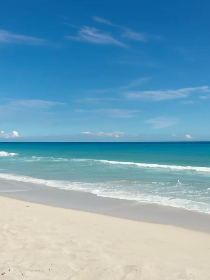 FLOWERS🥀🌿🌸 (@flowersbeauty59) on Twitter photo 