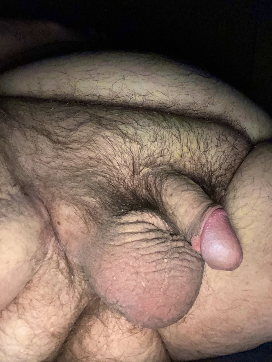 Small_Cock_Show (@small_junk) on Twitter photo 