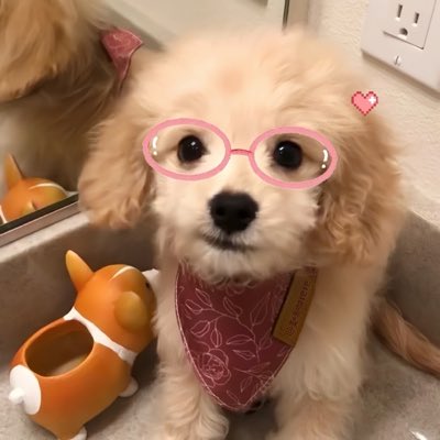 可以只跟我说话吗 tweet media