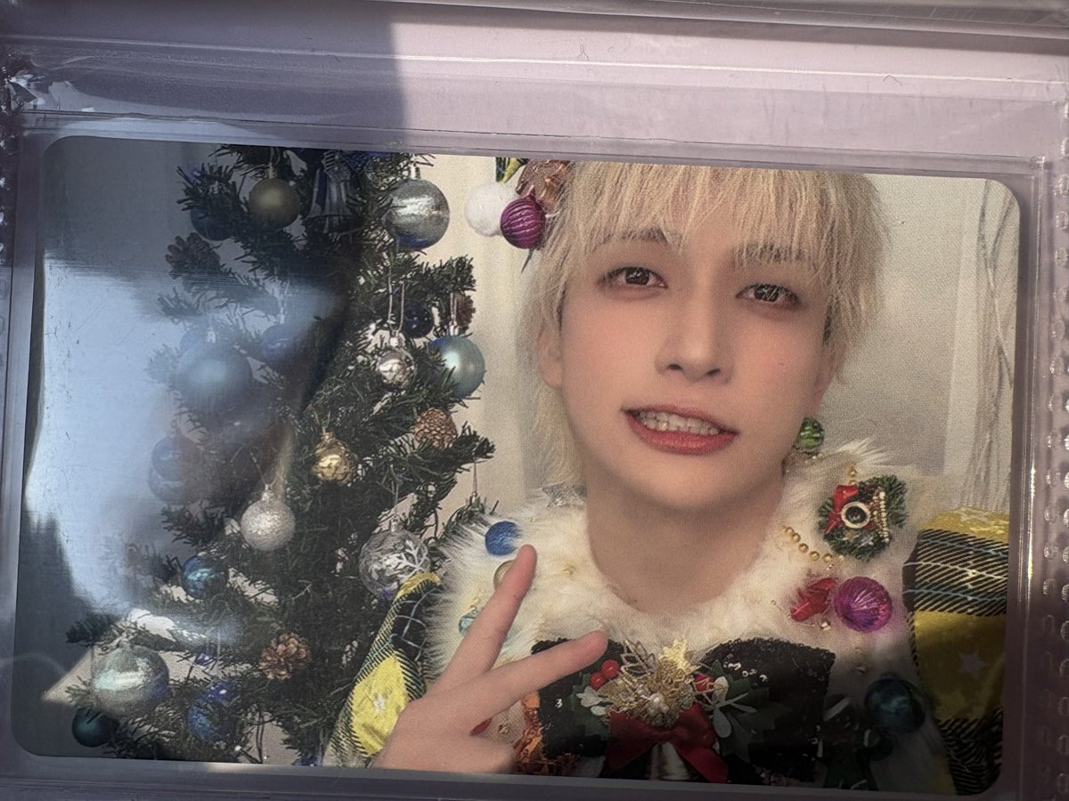 🐬🐳 tweet media