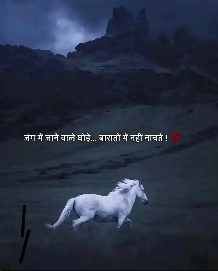 जंग में जाने वाले घोड़े,
बरातों में नहीं नाचते..see more