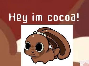 cocoa tweet media