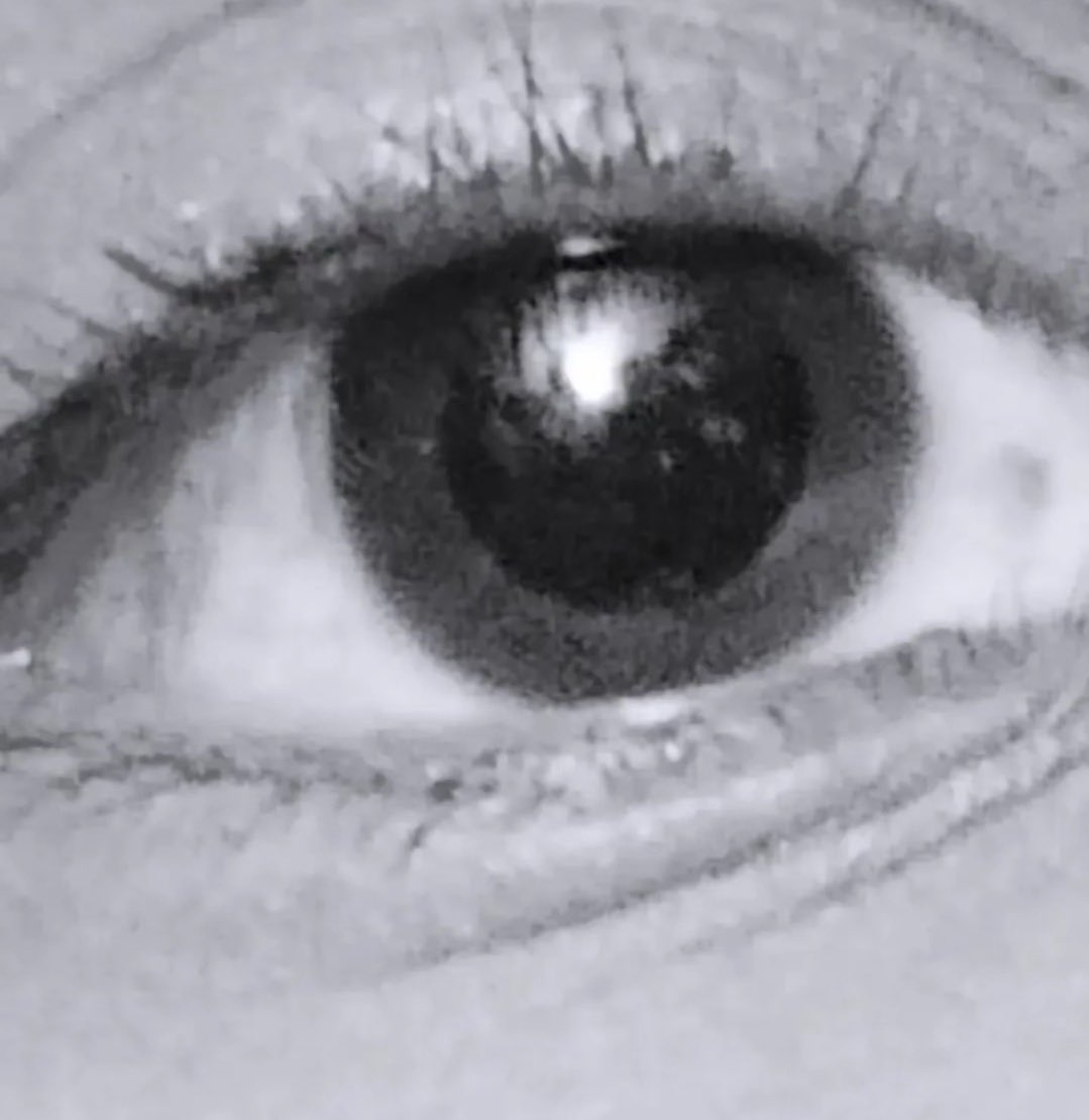 methablog's tweet image. a