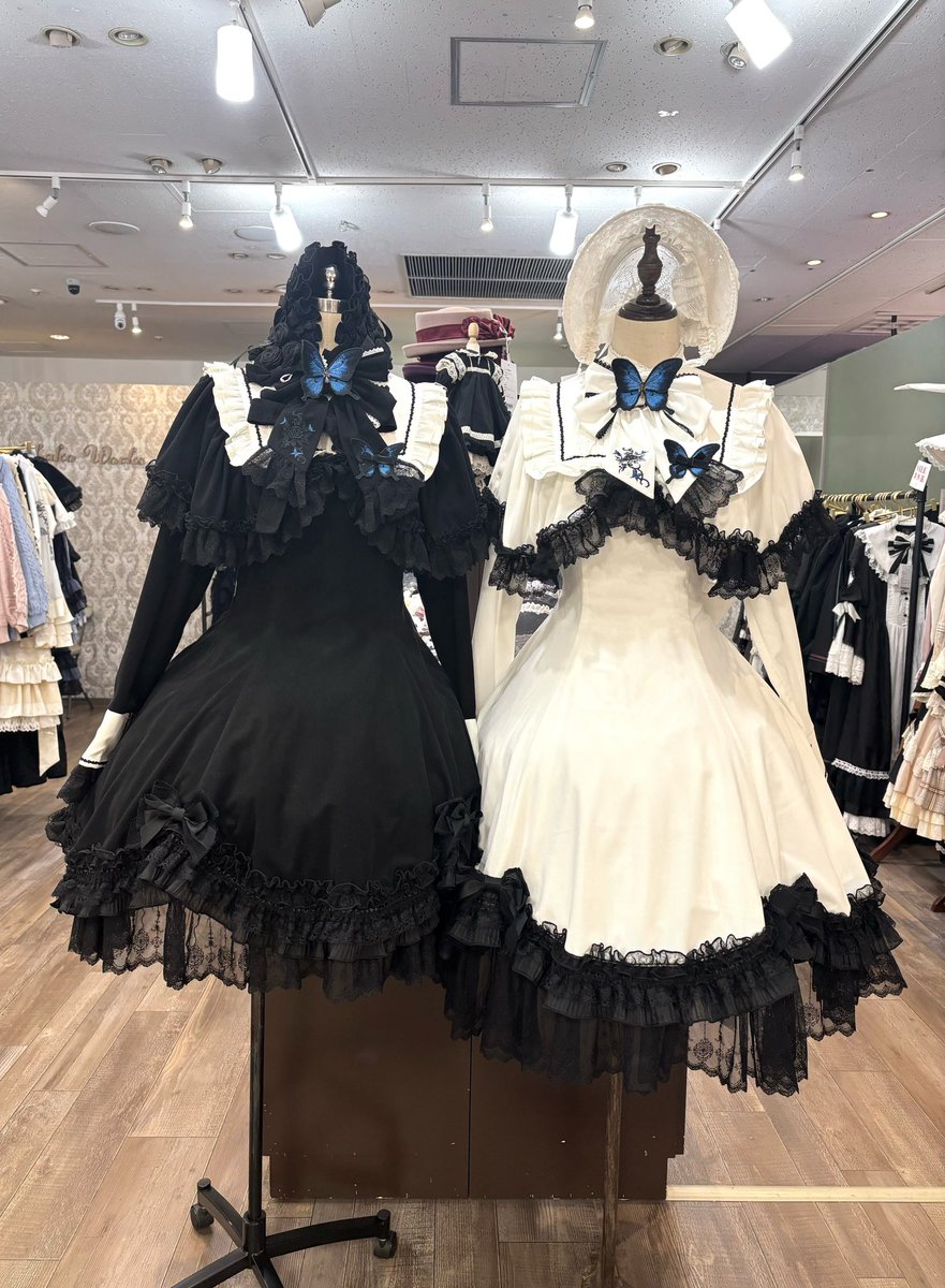 こんにちは♪ #星箱池袋店 です🕊️ ユリシスファンタジーシリーズのご