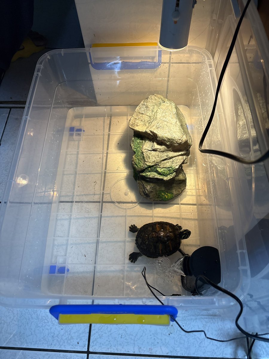 養龜買的東西比他本身還貴了
幹啊