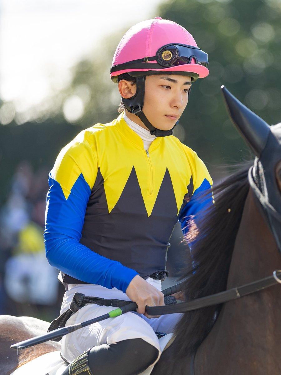 まねき馬 エイシンフラッシュ レインボー 虹 天皇賞秋 片閉じ未開封