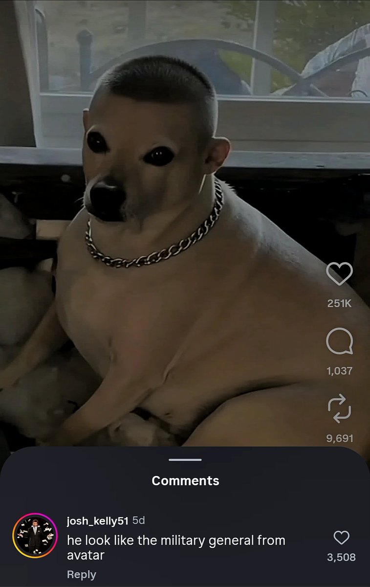 Okay 🤣😭🤣😭