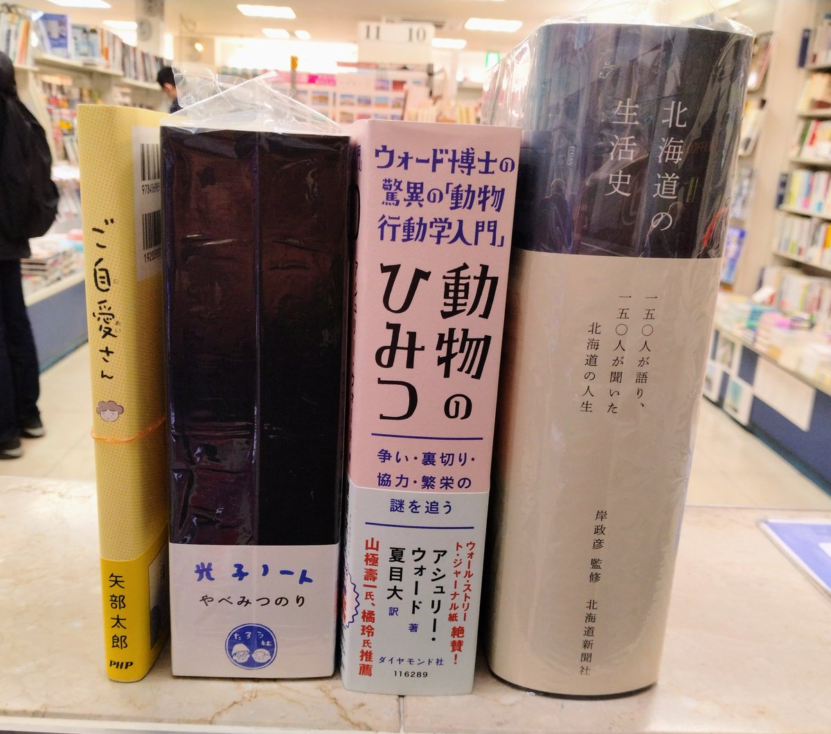 最近入荷(再入荷)の「自立する」本たち。

左から…
『ご自愛さん』(PHP・※一般的な本の厚さ)
『光子ノート』(矢部太郎・たろう社)
『動物のひみつ』(ダイヤモンド社)
『北海道の生活史』(岸政彦 監修・北海道新聞社)
#鈍器本 #光子ノート #動物のひみつ #北海道の生活史 #吉祥寺