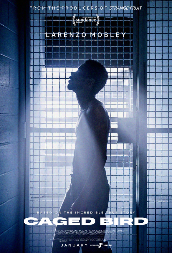 Adapted from “This American Life” podcast and based on a heartbreaking true story, #CagedBirdMovie, starring Larenzo Mobley, Nnamdi Asomugha and Natalie Paul, is in theaters now. Find out where it’s playing and get your tickets! 🎟️➡️ jcp.co/CagedBirdtix