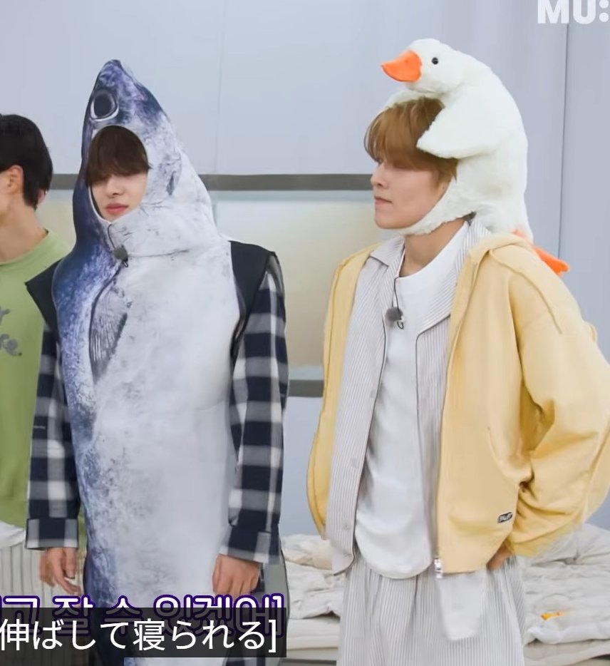 [ 돌들의침묵のリオ🐟とシンロン🪿 ]
#리오 #LEO #씬롱 #XINLONG