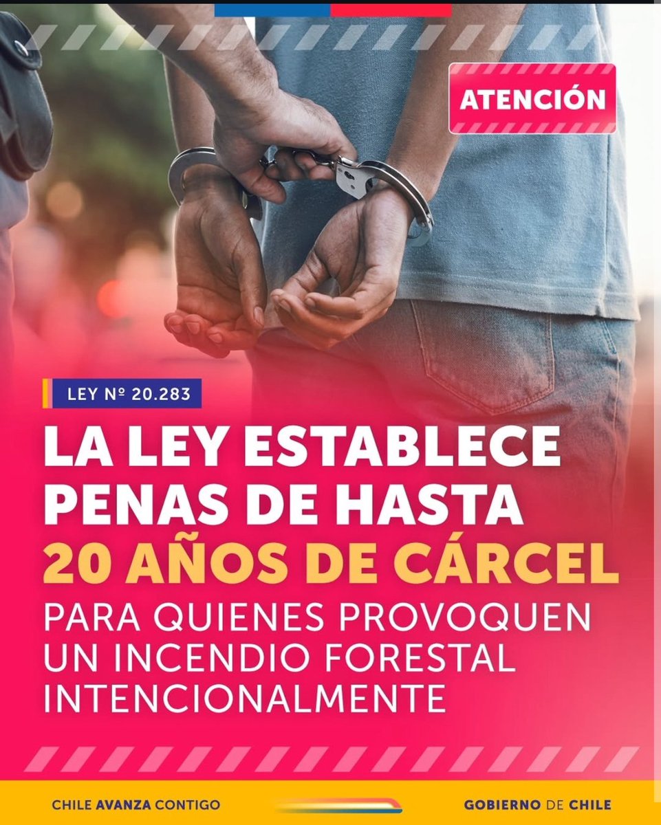 IsisCvera's tweet photo. Incendiar de forma intencional no es un delito cualquiera ¡¡Es destruir vidas a propósito!!!
Es saber que habrá  animalitos muertos y familias devastadas.. 
y aun así hacerlo😠

Quien toma esa decisión NO DEBERÍA tener segundas oportunidades
#incendio #Concepción #Chile #Biobio https://t.co/kVtFsVYBiA