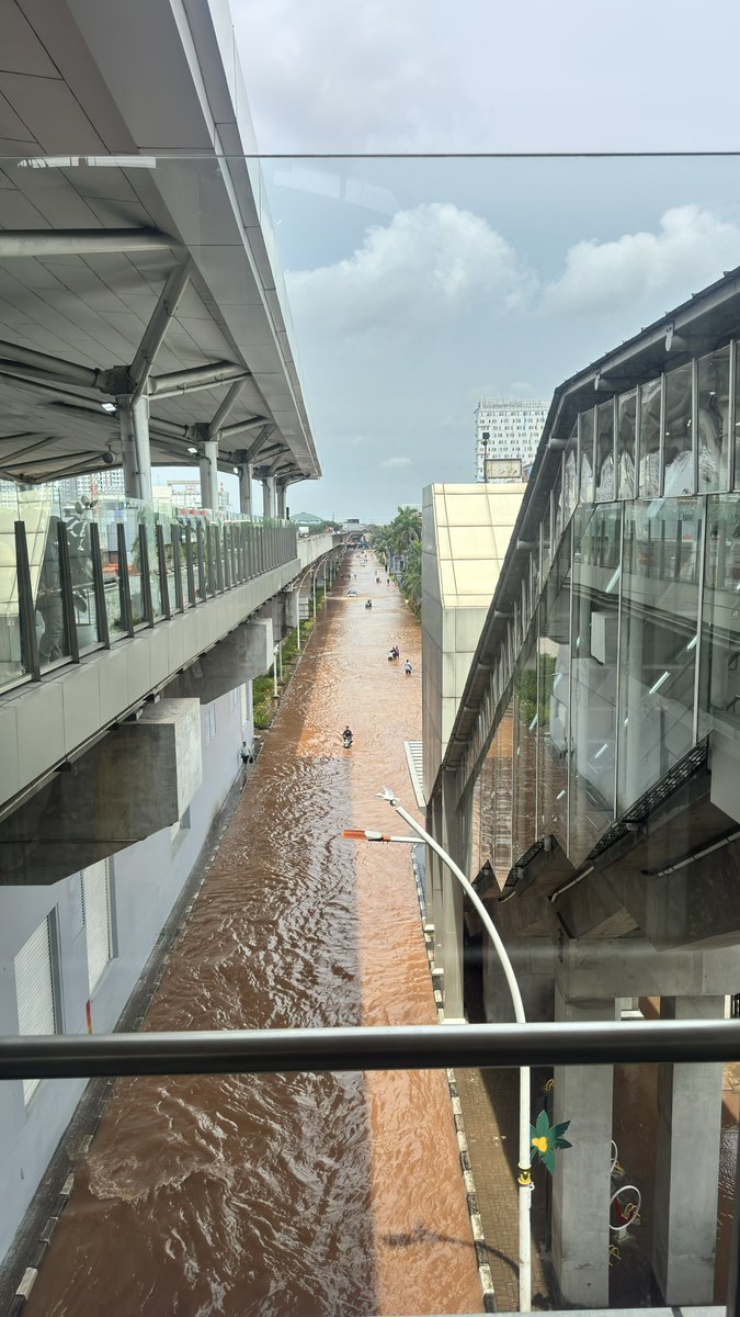 trickyinvestor's tweet image. free thai tea for everyone