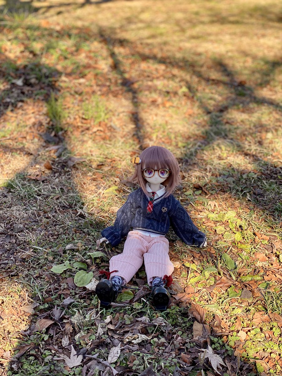 お天気の良い日なら冬のお散歩も良いよね