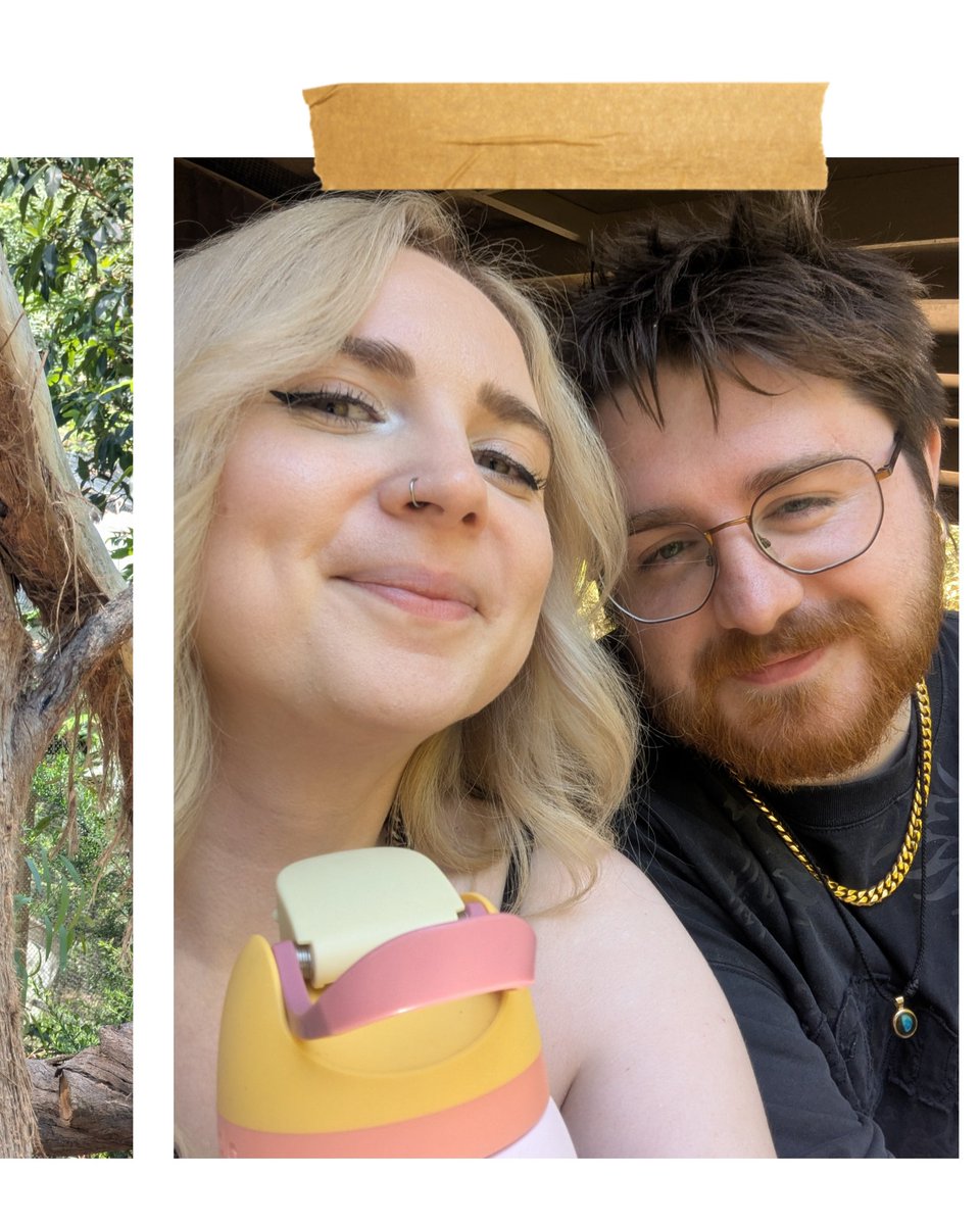 Cat 🐾 tweet media